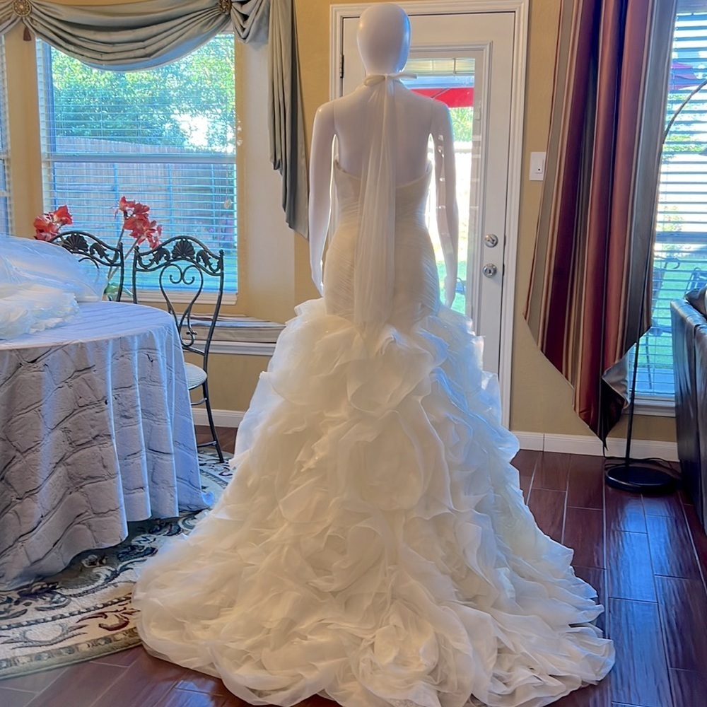 Vera Wang wedding gown from David Bridal. Brand new with tag - Picture 8 of 14